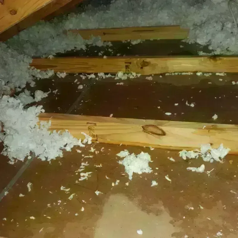 Attic Water Damage in Uhland, TX